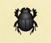 Archivo:Escarabajo pelotero NH.png