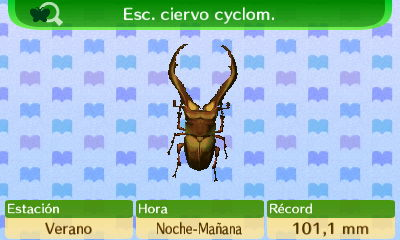 Escarabajo Ciervo Cyclommatus NL.png