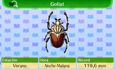 Escarabajo Goliat NL.png