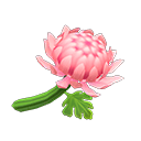 Archivo:Crisantemo rosa (New Horizons).png