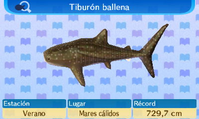Archivo:Tiburón Ballena NL.jpg