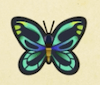 Archivo:Mariposa alas de pájaro NH.png