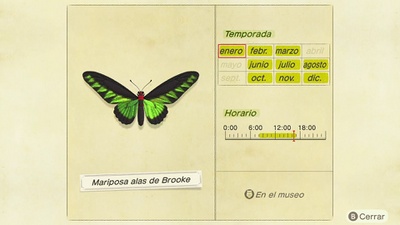 Mariposa Alas de Brooke NH.jpg