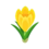 Icono croco amarillo PC.png
