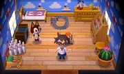 Casa de Rufino en Animal Crossing: New Leaf