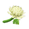 Crisantemo blanco (New Horizons).png