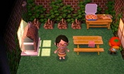 Casa de Kétchup en Animal Crossing: New Leaf - Welcome amiibo