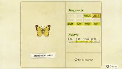 Mariposa colias NH.jpg