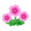 Icono petunia rosa PC.png