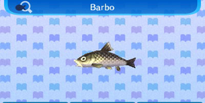 Barbo NL.png