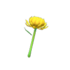 Icono Varita Crisantemo (New Horizons).png