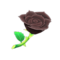 Rosa negra (New Horizons).png