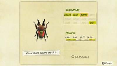 Escarabajo Ciervo Arcoíris NH.jpg