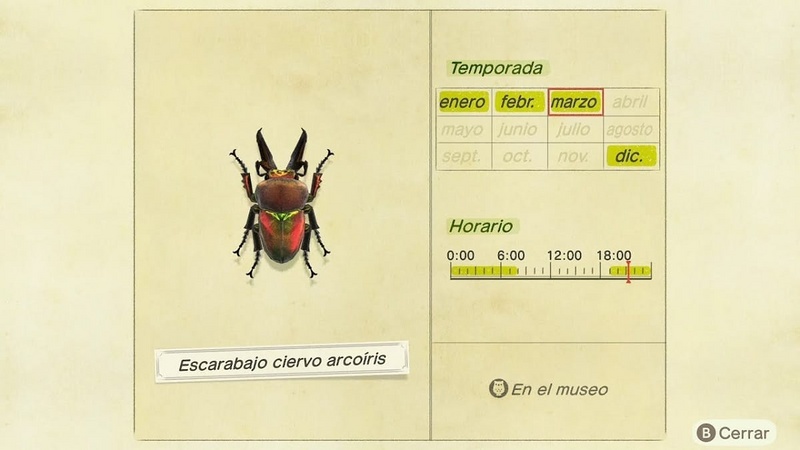 Archivo:Escarabajo Ciervo Arcoíris NH.jpg