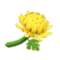 Crisantemo amarillo (New Horizons).png
