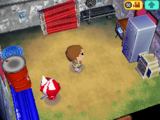 Casa de Gatomán en Animal Crossing: Wild World