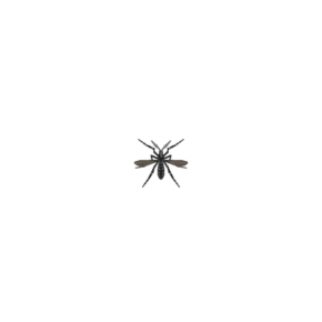 Mosquito (New Horizons).png
