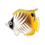 Icono pez mariposa auriga PC.png
