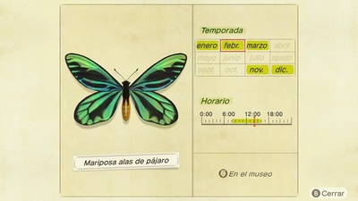 Mariposa Alas de Pájaro NH.jpg