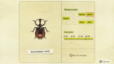 Escarabajo Violín NH.jpg