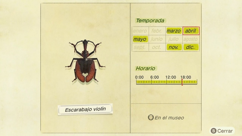 Archivo:Escarabajo Violín NH.jpg
