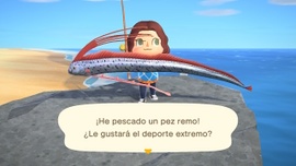 Pez remo - Animal Crossing Enciclopedia
