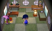 Casa de Rosanari en Animal Crossing: New Leaf - Welcome amiibo