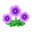 Icono petunia lila PC.png