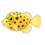 Icono pez cofre amarillo PC.png