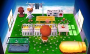 Casa de Carmelo en New Leaf