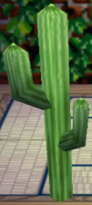 Cactus.png