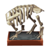 Cuerpo tricera (PA!).png