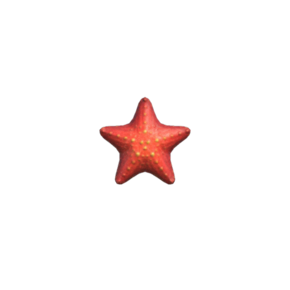 Estrella de Mar (New Horizons).png
