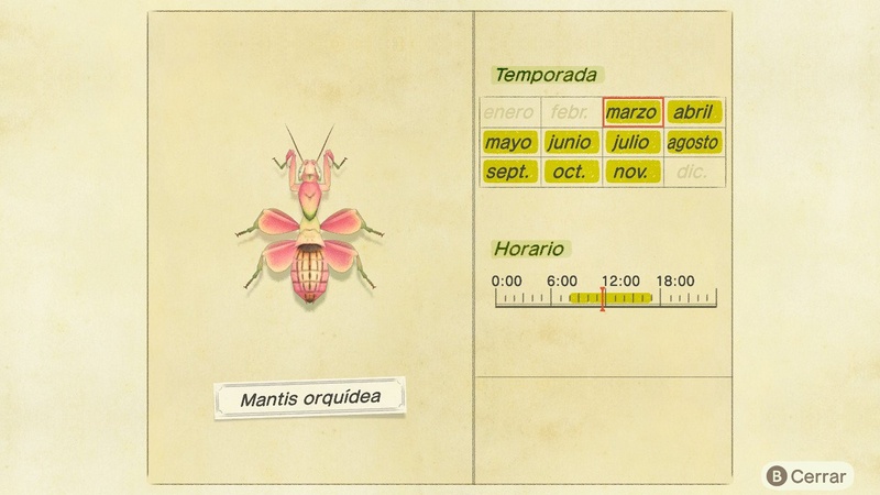 Archivo:Mantis Orquídea NH.jpg