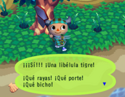 Cazando una libélula tigre en Animal Crossing: Población: ¡en aumento!