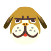 Pit