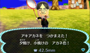 Animal Crossing Jump Out 3.png