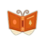 Icono librosa naranja PC.png