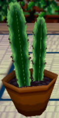Cactus Alto.png