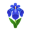 Icono iris azul PC.png