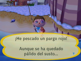 pargo-rojo-animal-crossing-enciclopedia