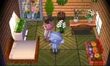 Casa de Úrsula en Animal Crossing: New Leaf - Welcome amiibo