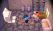 Casa de Norma en Animal Crossing: New Leaf - Welcome amiibo
