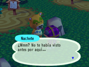 Conociendo a Nachete en Animal Crossing: Población: ¡en aumento!