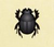 Escarabajo pelotero NH.png