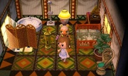 Casa de Soraya en Animal Crossing: New Leaf