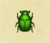 Escarabajo verde japonés NH.png