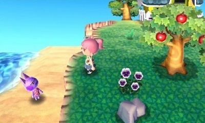 Animal Crossing 3DS 23.jpg
