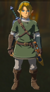 Link portando el Gorro del Crepúsculo, la Túnica del Crepúsculo y el Pantalón del Crepúsculo.