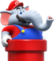 Mario Elefante.